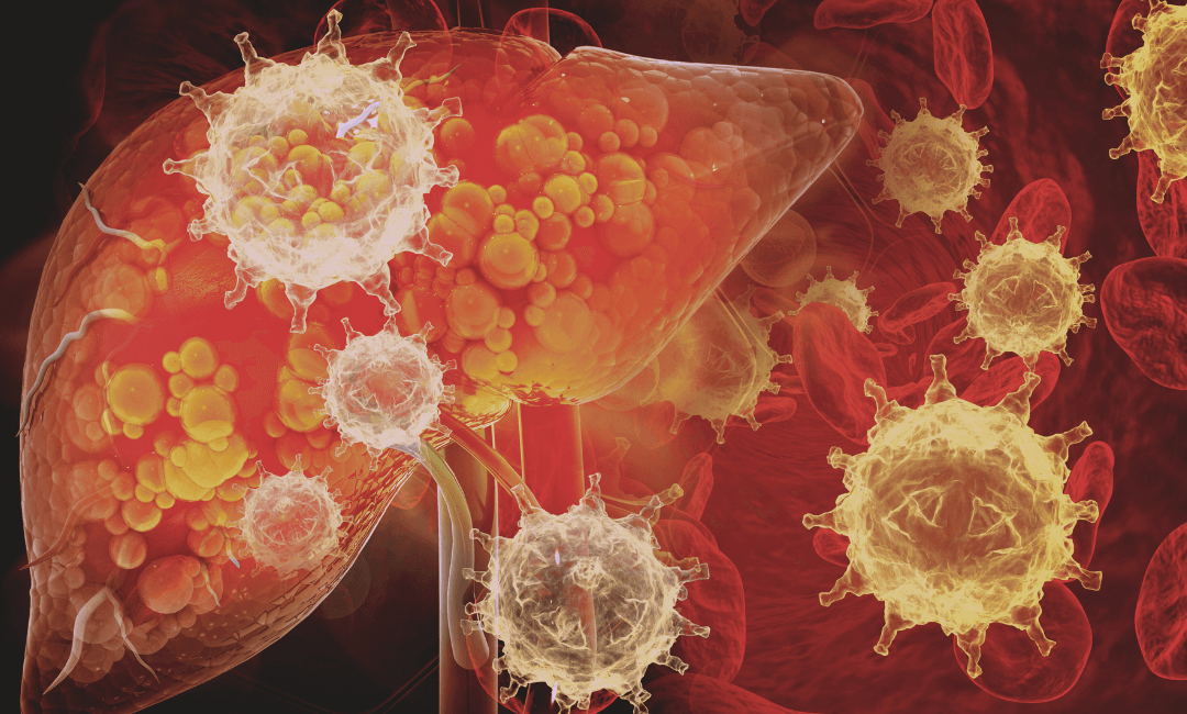 BEACON Connects Cancer and Transplant Care