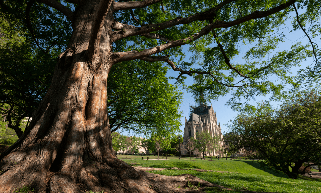 New Faculty, Postdocs, and Staff