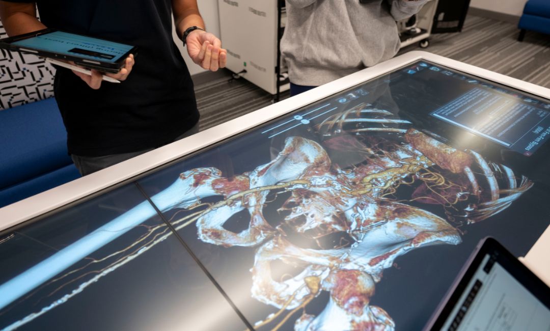 Health Sciences Library System