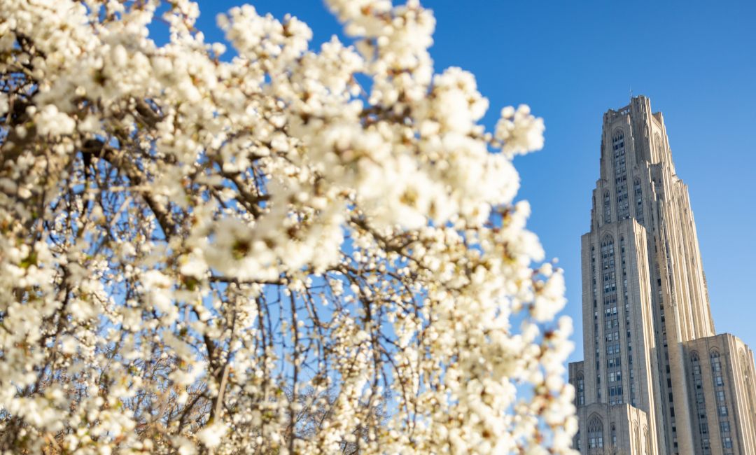 Promotions and Tenure