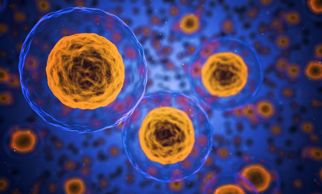 Single Cell Core